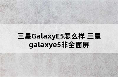 三星GalaxyE5怎么样 三星galaxye5非全面屏